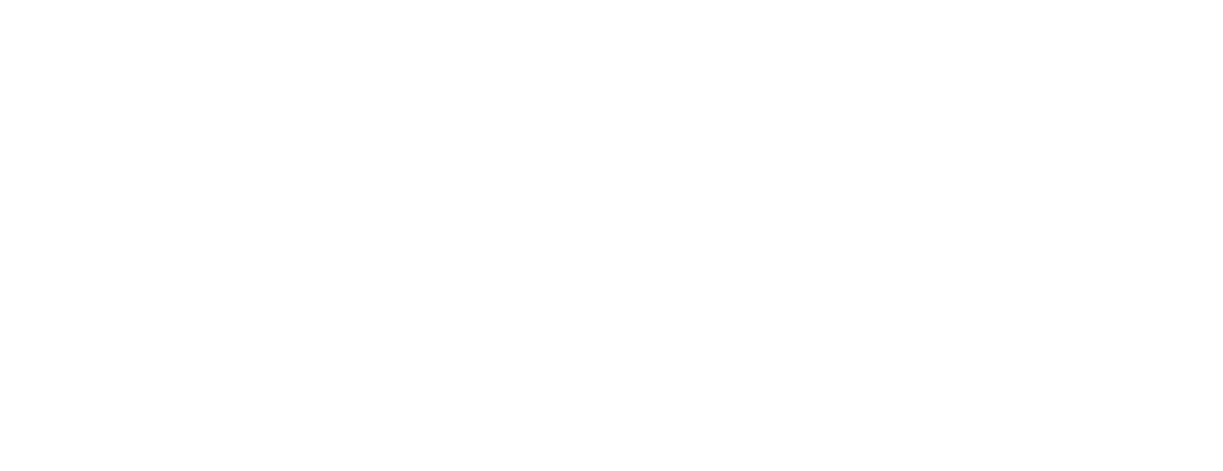 BRIN Logo